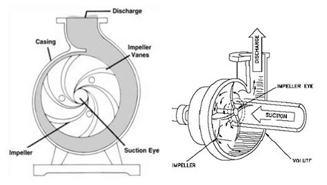 Prinsip Kerja Pompa Sentrifugal - ETSWORLDS