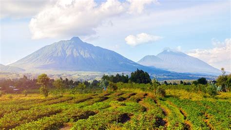 Virunga Mountains | Location, Description, & Facts | Britannica