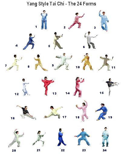 Tai chi 24 form pictures