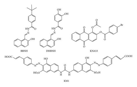 Chemical structures of dual RNase H and polymerase inhibitors. | Download Scientific Diagram