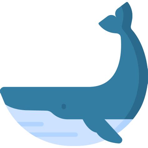 Whale Special Flat icon