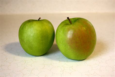 Granny Smith Apples – Photos Public Domain