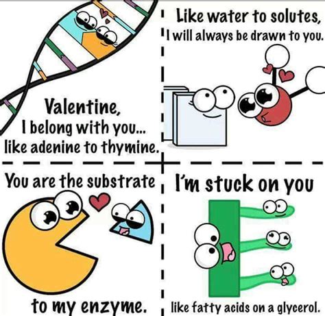 Biology Jokes For Teachers | Freeloljokes