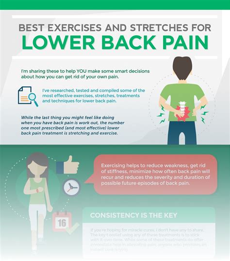 9 Best Exercises for Lower Back Pain - Infographic - PHYSICAL THERAPY WEB