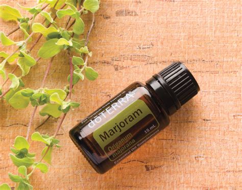 Marjoram Essential Oil | Oils and Answers