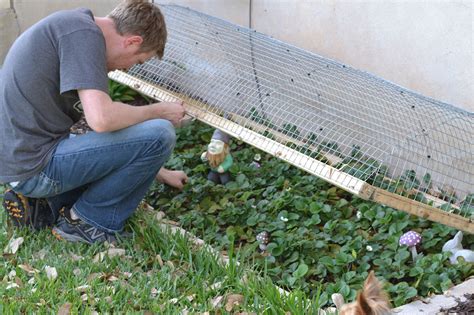 I can totally make that: Strawberry cage