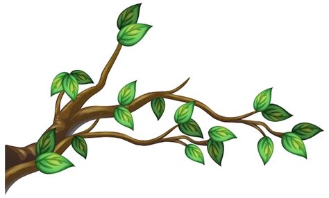 Tree Branch Png Images - Free Download on Freepik