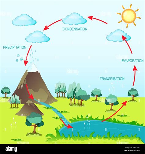 cycle water in nature environment. The sun, which drives the water cycle, heats water in oceans ...