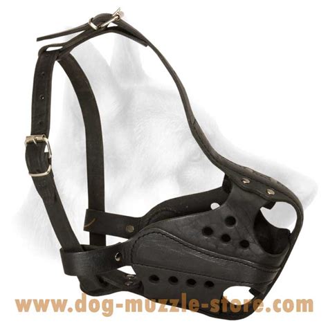 Buy Agitation Training Leather Dog Muzzle | Attack