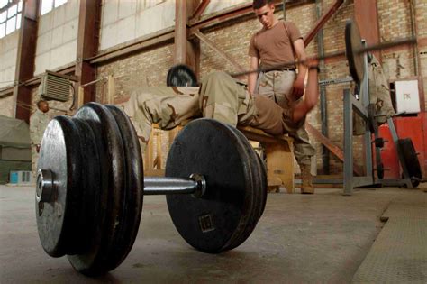 Best Equipment for Bodybuilding Training in a Home Gym