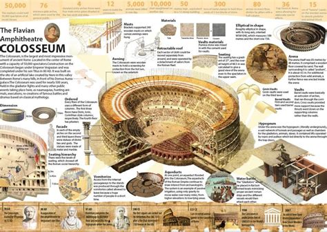 COLOSSEUM ARCHITECTURE INFOGRAPHIC-- (SEM 4 ARCHICTECTURE HISTORY 01) #arc… | Architecture ...