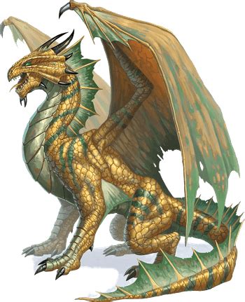 Ancient Bronze Dragon | Kryx RPG