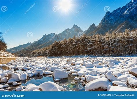 Seoraksan National Park in Winter, South Korea Stock Photo - Image of ...