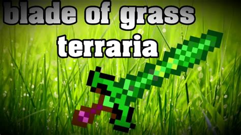 Where To Find Blade Of Grass Terraria : Terraria Lets Play - Ep 13 - Blade of Grass... - YouTube ...