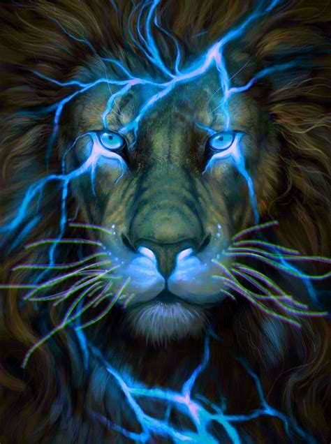 Lion With Blue Eyes Black And White Wallpaper - Videos Laughs