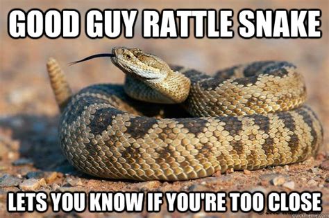 10 Hilarious Jokes About Snakes – Laugh On The Daily