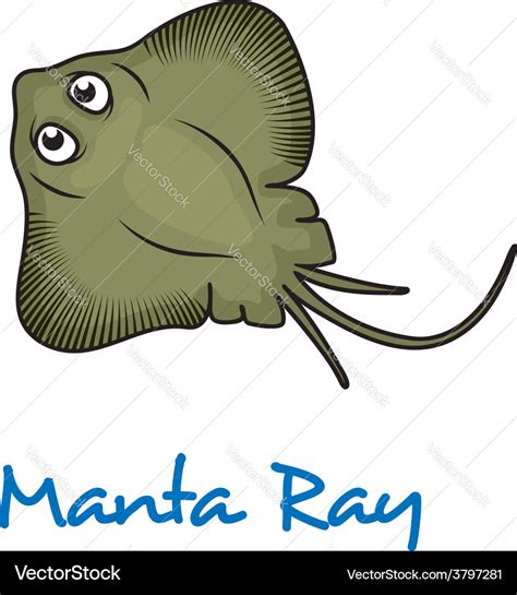 Cartoon manta ray Royalty Free Vector Image - VectorStock