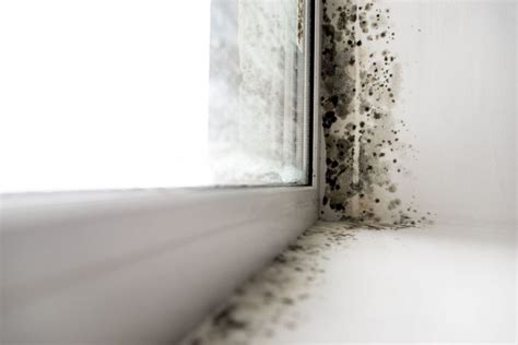 Mold Bathroom Ceiling Health Hazard | Shelly Lighting