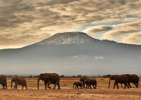 Mount Kilimanjaro National Park - High Peak Expeditions