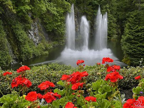 1920x1080px, 1080P free download | Waterfall garden, flower, red, nature, garden waterfall, HD ...