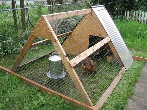 Considering a Movable Chicken Coop