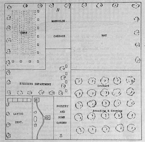 Plan For One Man, Ten Acre Poultry Farm - The Poultry Pages