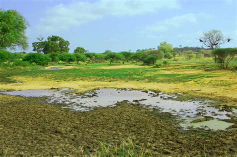 AFRICAN FARMING TECHNIQUES - Africa Farming