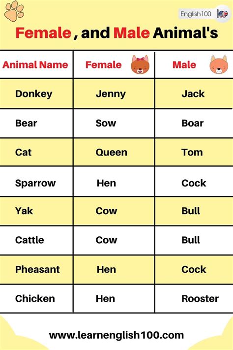 Female and Male Animals' Names in English! - English 100