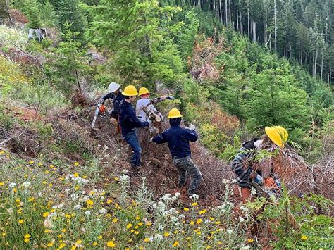 RMEF, Partners Allot $1 Million for Washington Elk, Elk Habitat | Rocky Mountain Elk Foundation