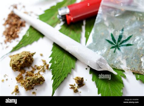 Joint and cannabis, Joint und Cannabis Stock Photo: 137176920 - Alamy