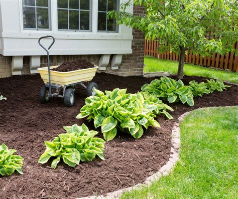 Mulch Madness: Why March Is the Best Time to Mulch Your Yard