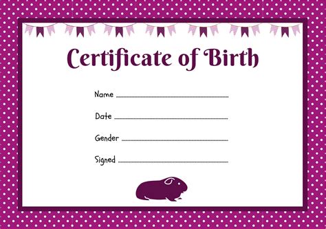 Guinea Pig Birth Certificate Printable PDF A4 Download Instant Print at Home Template Purple ...