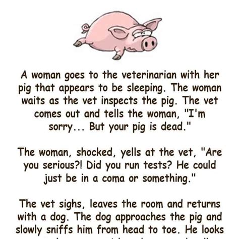 A woman goes to the Vet with her Pig - funny joke — Jokes Of The Day