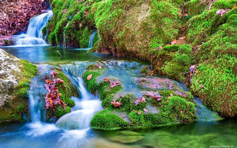 Nature Free Background Images For Desktop : Natural Beauty Wallpapers Free Download,desktop ...