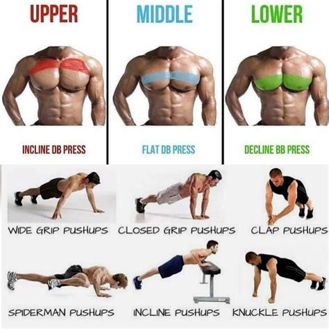 Chest Workout Home Routine / 10 Basic Push Ups Variations ! | Esercizi ...