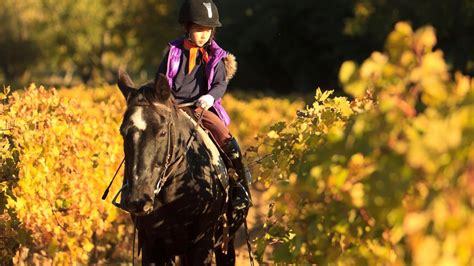 The 3 Types of Horse Riding Styles You Should Know About