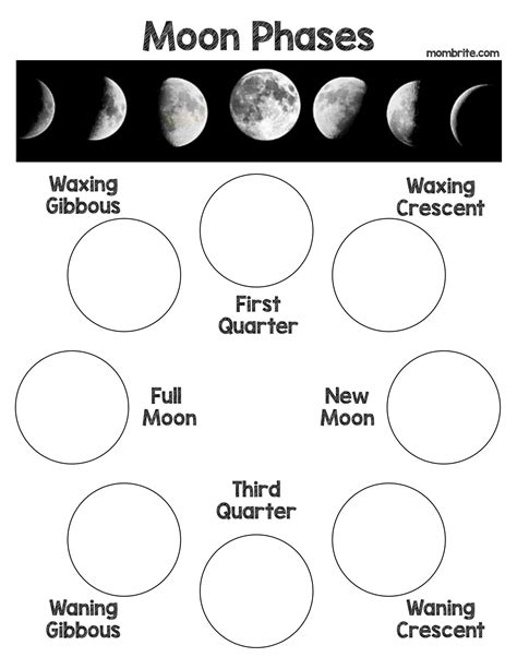 34 Phases Of The Moon Worksheet Pdf - support worksheet