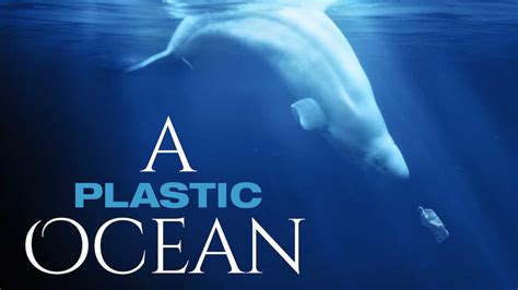 A Plastic Ocean (2016) | Watch Free Documentaries Online