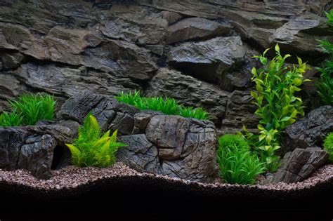 Aquarium background rock for every aquarium and terrarium - CeramicNature