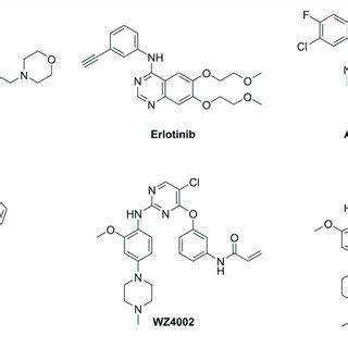 | Structures of three generations of EGFR tyrosine kinase inhibitors. | Download Scientific Diagram