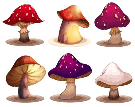 A Set of colourful mushroom 359476 Vector Art at Vecteezy