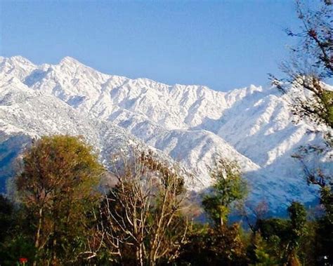 Palampur Travel Guide 2022: Best of Palampur Tourism | Tripoto