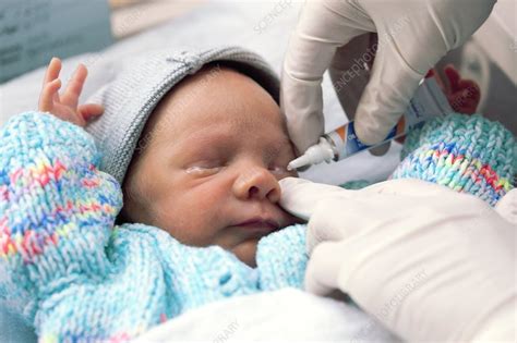 Eye ointment for newborn baby - Stock Image - C009/1666 - Science Photo Library