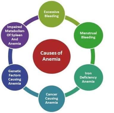 Know the Symptoms, Causes and different types of Anemia - TechKnow Infinity