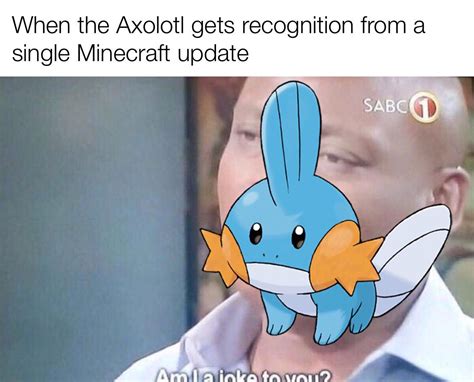 Give my Boy Mudkip some love : r/memes