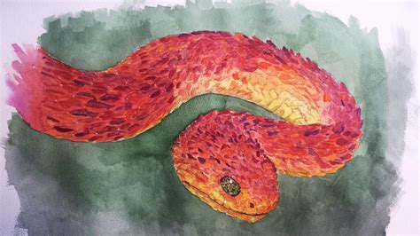 Snake Watercolor at PaintingValley.com | Explore collection of Snake Watercolor