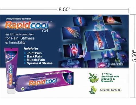 Rapid Cool Pain Relieving Gel at Rs 80/piece | Pain Reliever Gel in Pune | ID: 2850951238912