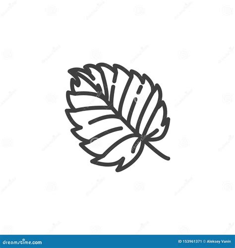 Aspen leaf line icon stock vector. Illustration of graphics - 153961371