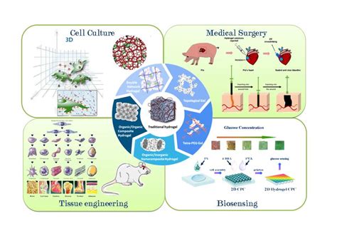 Polymers | Free Full-Text | Applications of Hydrogels with Special ...