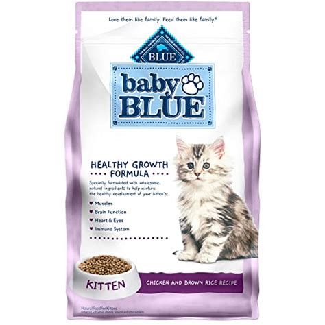 Best Cat Food For 10 Month Old Kitten 2024 - Vet Ranch - We Love Pets